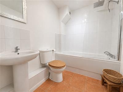 Picture 8